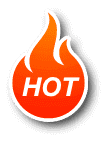 club-hotLabel-icon