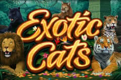 https://1688sagame3d.com/microgaming/exotic-cats/